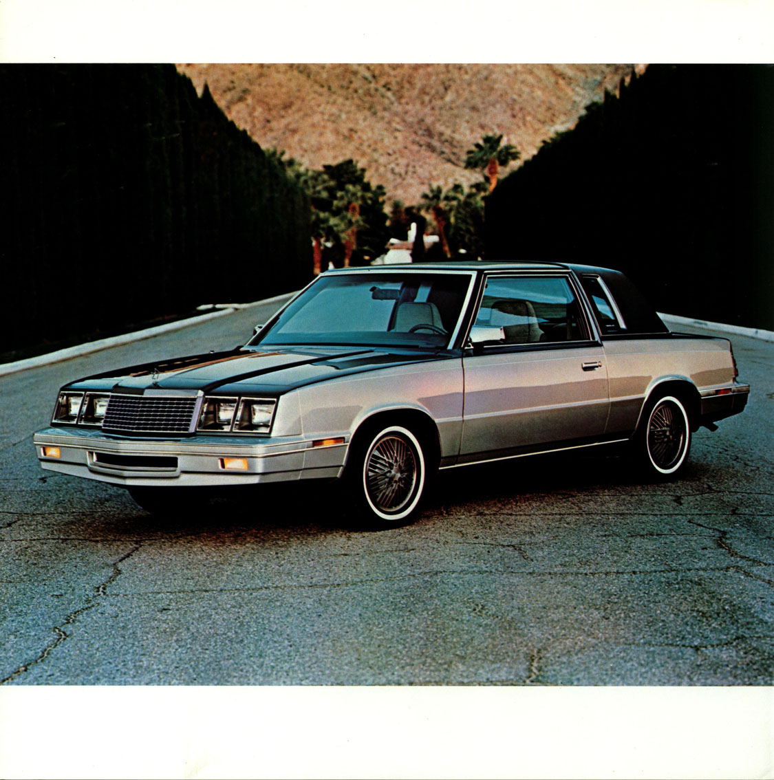 n_1984 Plymouth Caravelle (Cdn)-02.jpg